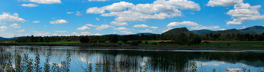Paisaje de la laguna de Talayuelas