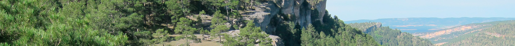 Paisaje de la Balsa de Valdemoro